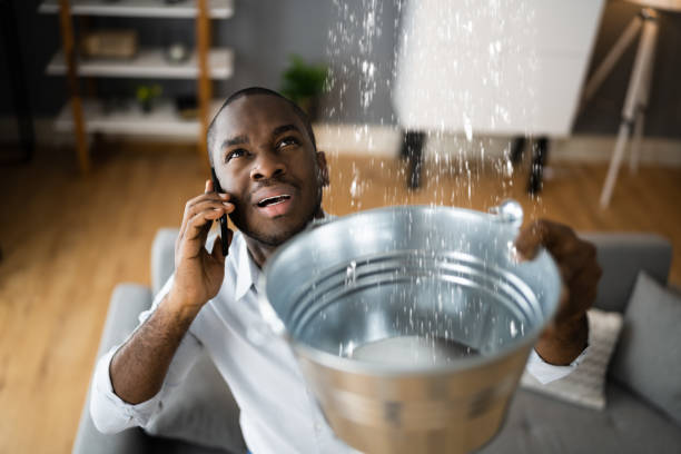 Best Water damage restoration mold remediation  in River Forest, IL
