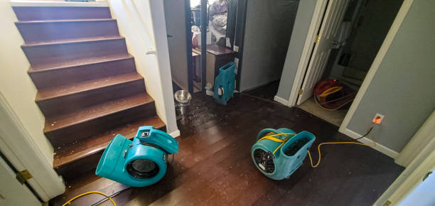Best Flood damage cleanup  in River Forest, IL