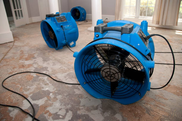 Best 24-hour water damage restoration  in River Forest, IL