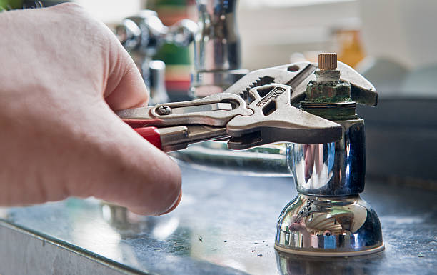 Best Professional water damage repair  in River Forest, IL