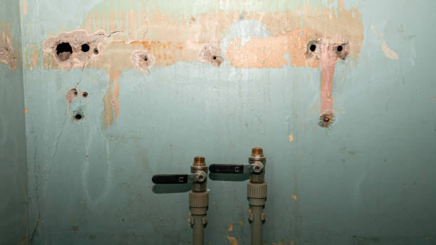 Best Sewage cleanup and water damage restoration  in River Forest, IL