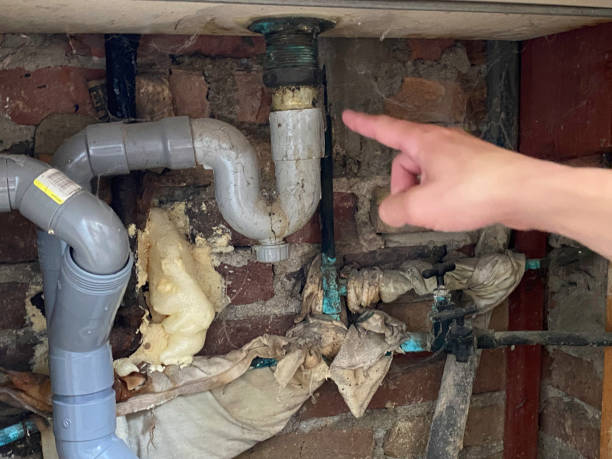 Best Mold removal after water damage  in River Forest, IL