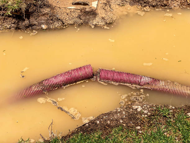  River Forest, IL Water damage restoration Pros